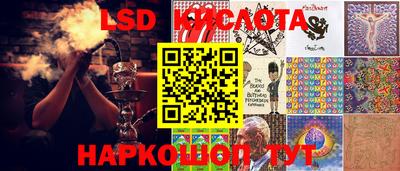 мяу мяу мука Краснознаменск