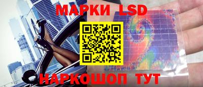 гидра Краснокаменск
