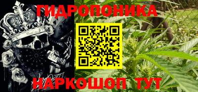 гидра Краснокаменск