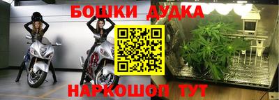 мяу мяу мука Краснознаменск