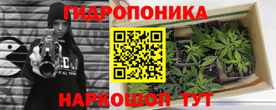 ECSTASY Краснодар
