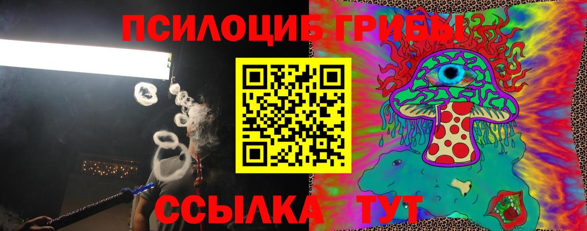 Псилоцибиновые грибы MAGIC MUSHROOMS  Вход с VPN  Городец  Галлюциногенные грибы мухоморы 